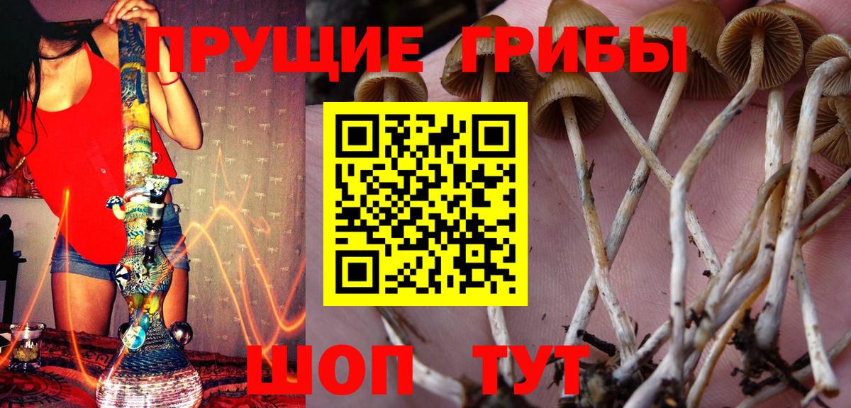 Канск  Псилоцибиновые грибы Psilocybine cubensis  Галлюциногенные грибы Magic Shrooms  Вход с VPN 